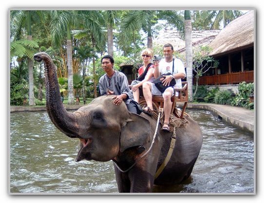 DJ & SJ on Prithi the Elephant Bali Nov 05